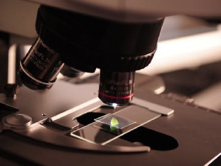 Microscope