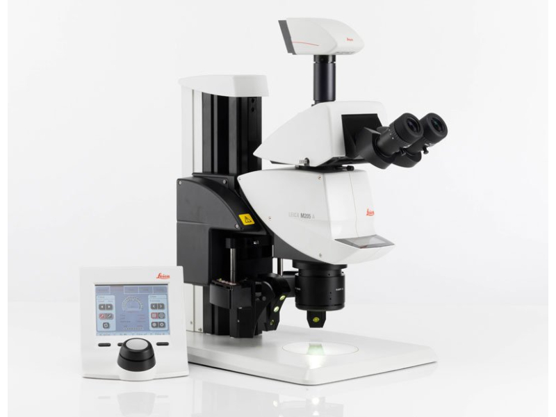 Stereo Microscope Stereo Microscope