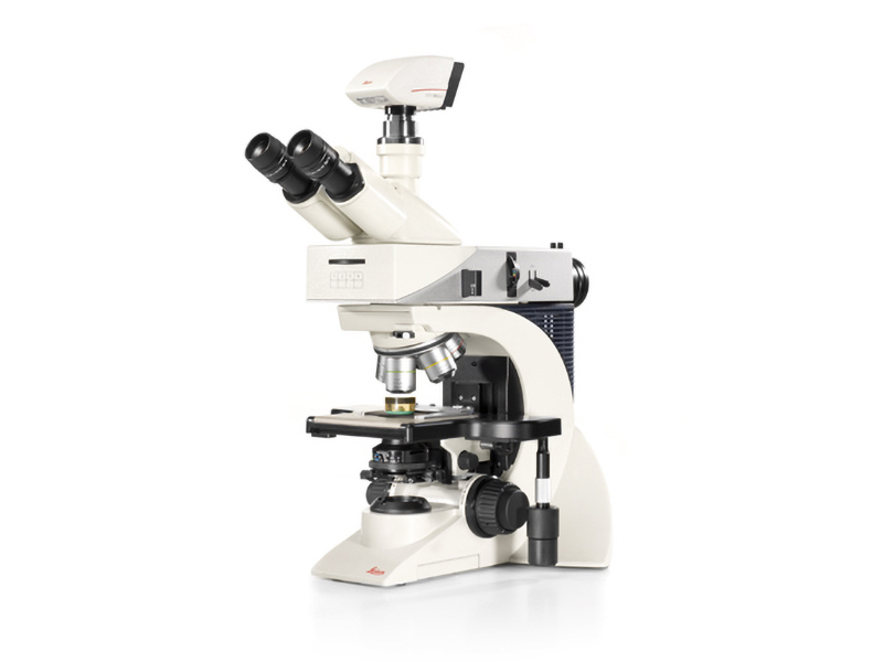 Upright Microscope