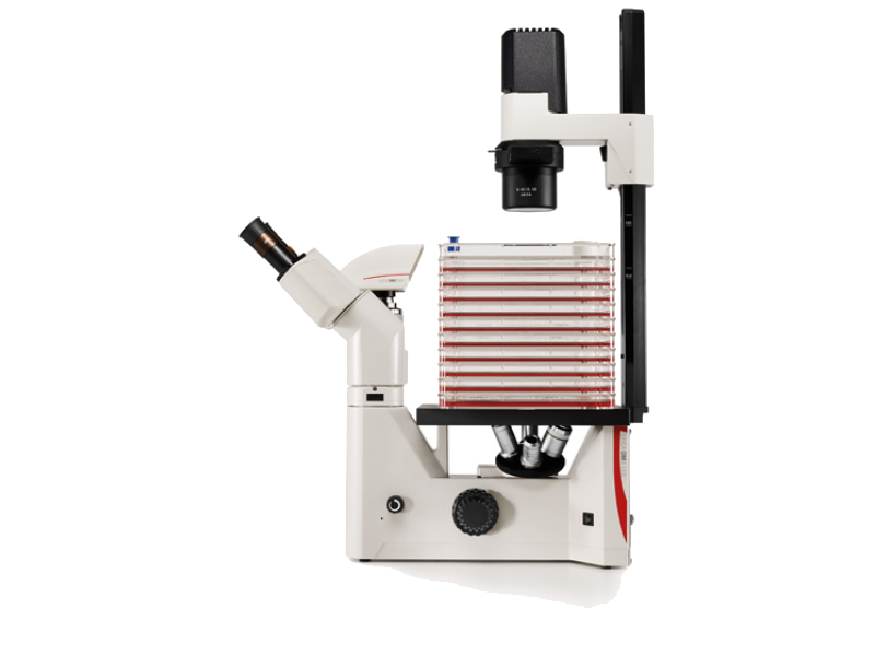 DM IL LED Inverted Microscope