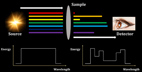 圖2.光譜儀(Spectrometer)簡易示意圖