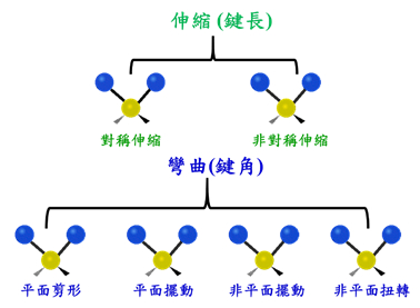 分子振動模組類別