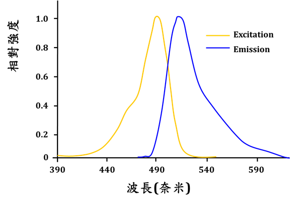 螢光黃試劑在硼酸鹽緩衝液中之螢光激發及發射光譜圖
